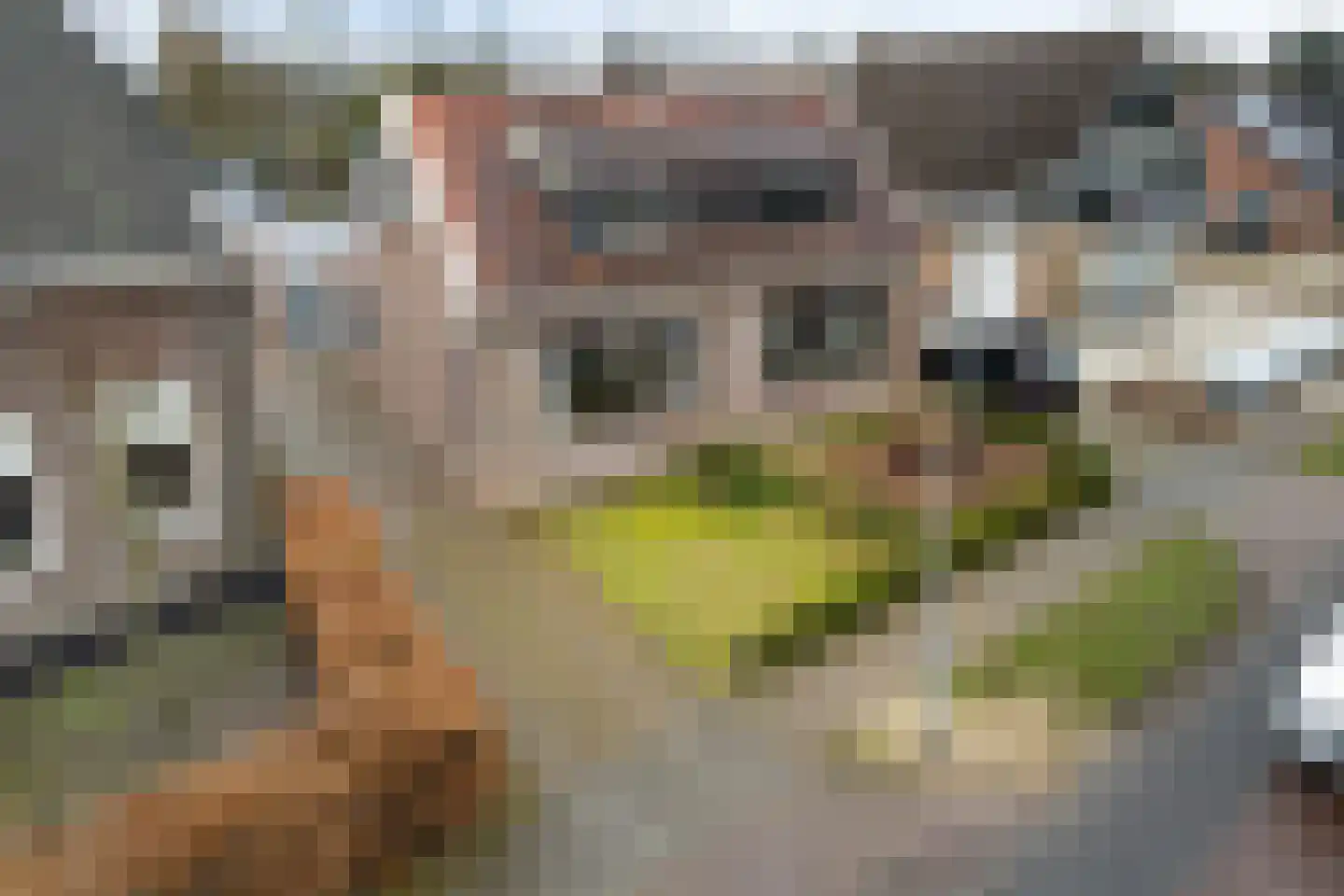 Holtstraat 50 Emmen thumbnail 40