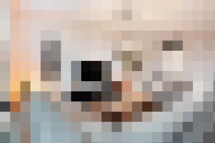 Holtummer Markt 5 Holtum thumbnail 13