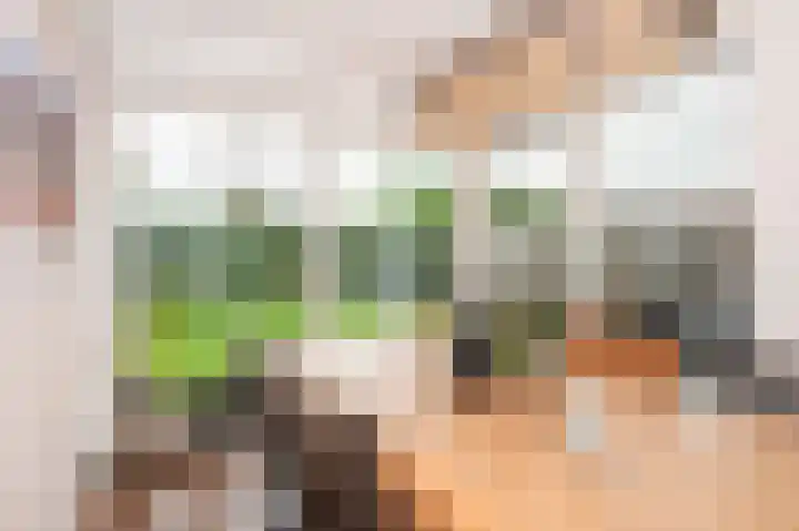 Holtummer Markt 5 Holtum thumbnail 18
