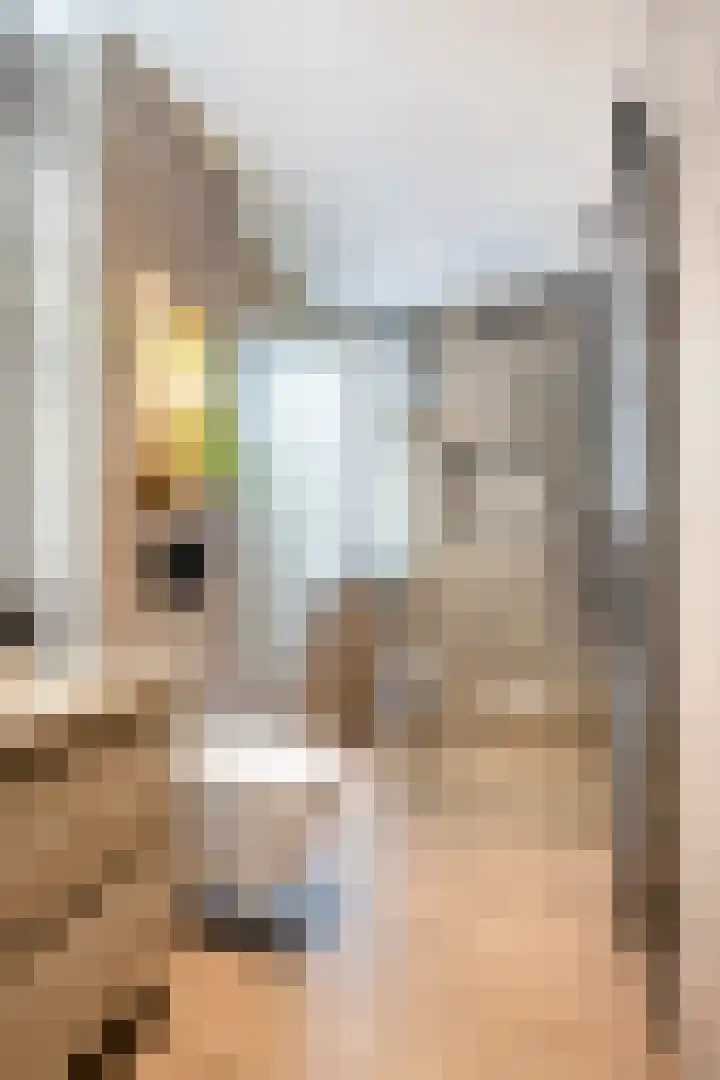 Holtummer Markt 5 Holtum thumbnail 28