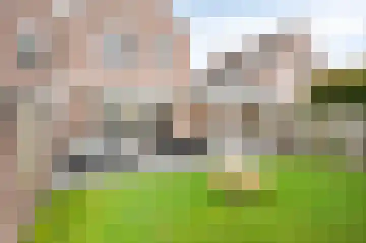 Holtummer Markt 5 Holtum thumbnail 4