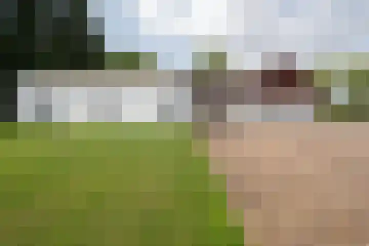 Holtummerweg 3 Susteren thumbnail 12