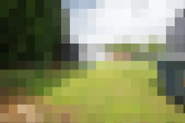 Holtummerweg 3 Susteren thumbnail 13
