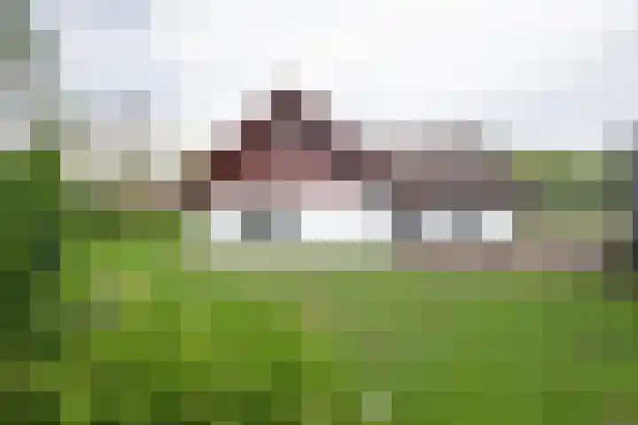 Holtummerweg 3 Susteren thumbnail 16