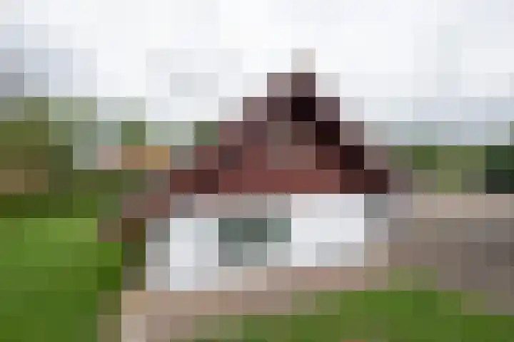 Holtummerweg 3 Susteren thumbnail 22