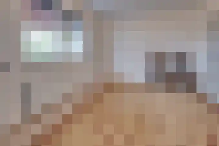 Holtummerweg 3 Susteren thumbnail 40