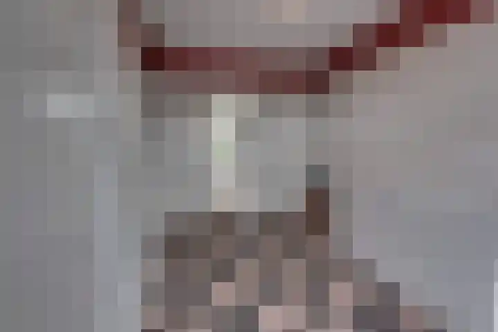 Holtummerweg 3 Susteren thumbnail 45