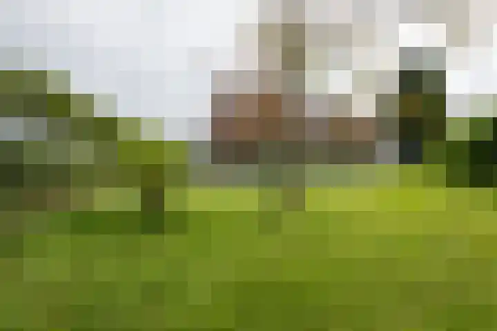 Holtummerweg 3 Susteren thumbnail 5
