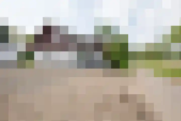 Holtummerweg 3 Susteren thumbnail 6