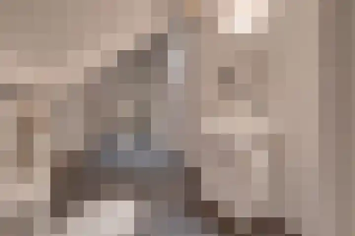 Holtummerweg 3 Susteren thumbnail 62