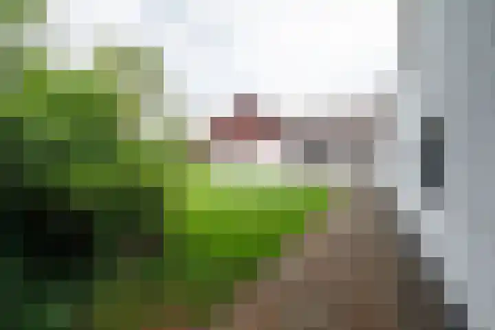 Holtummerweg 3 Susteren thumbnail 8