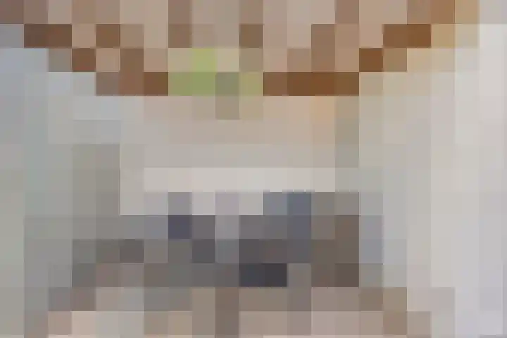 Holtwal 3 Gieten thumbnail 32