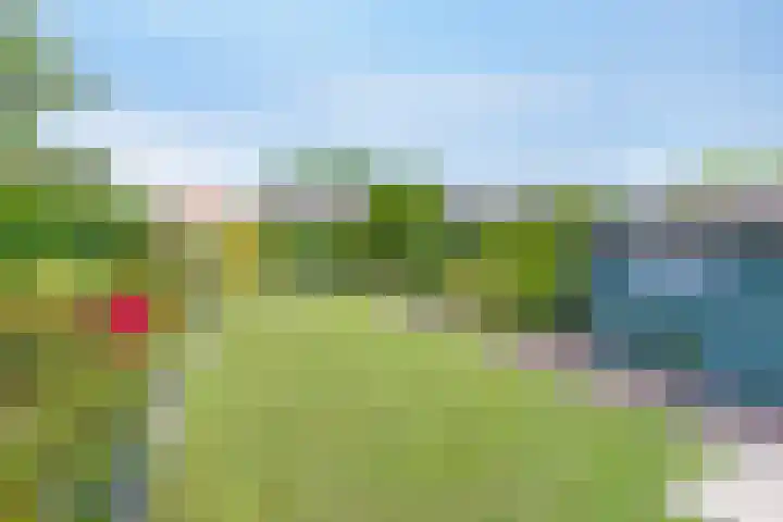 Holtwal 3 Gieten thumbnail 33