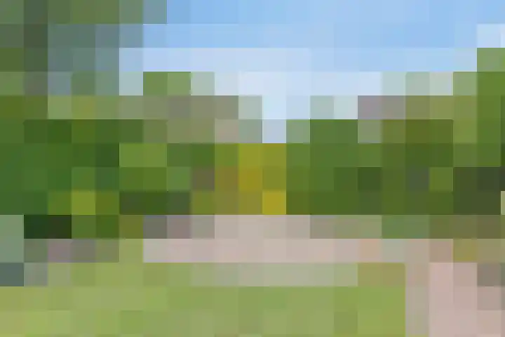 Holtwal 3 Gieten thumbnail 35