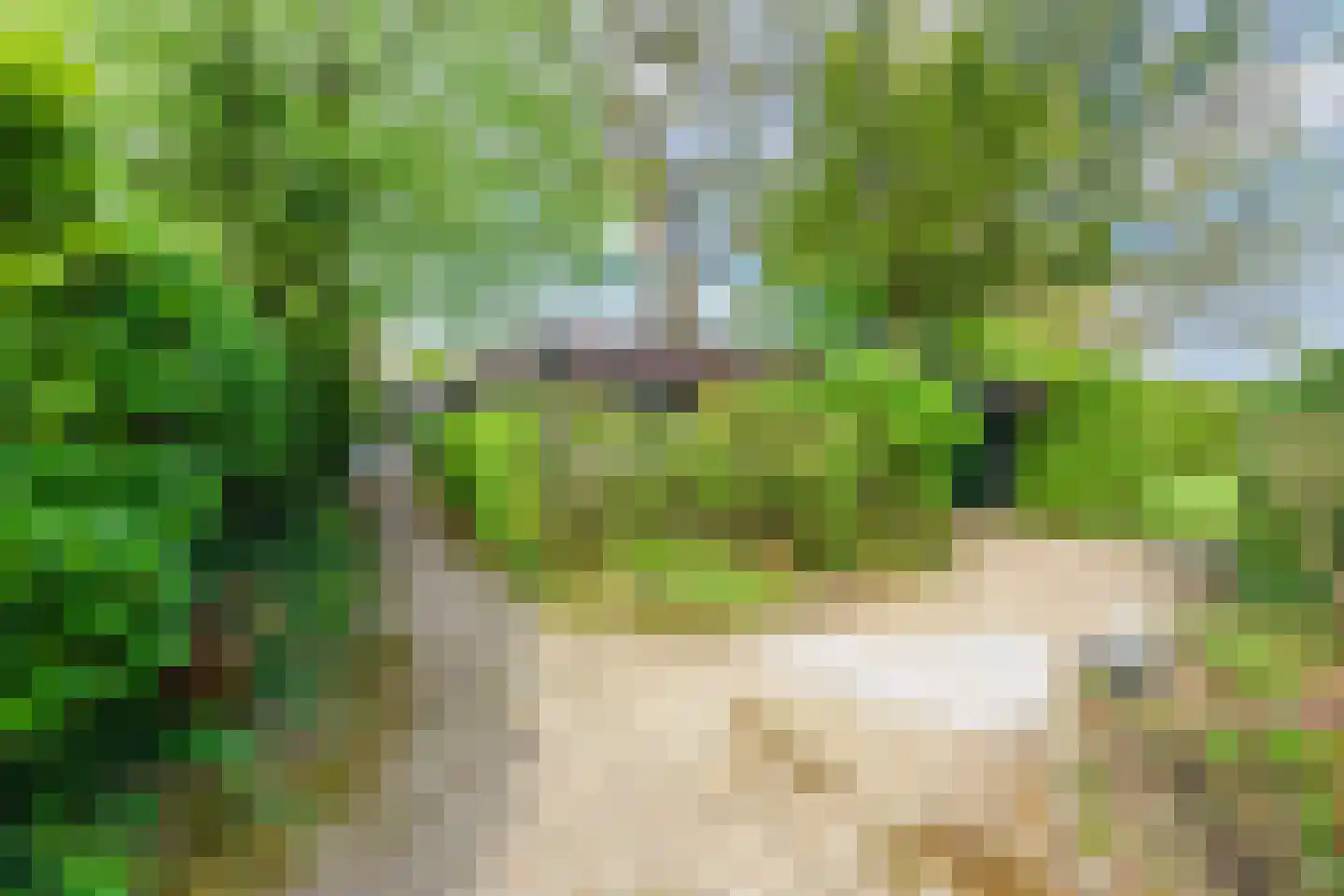 Holtweg 2 Beuningen thumbnail 104