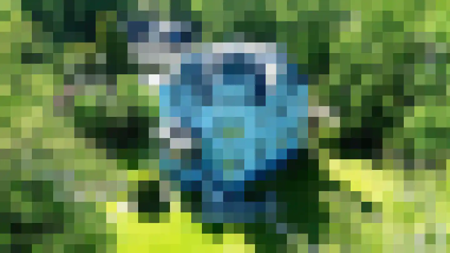 Holtweg 2 Beuningen thumbnail 74