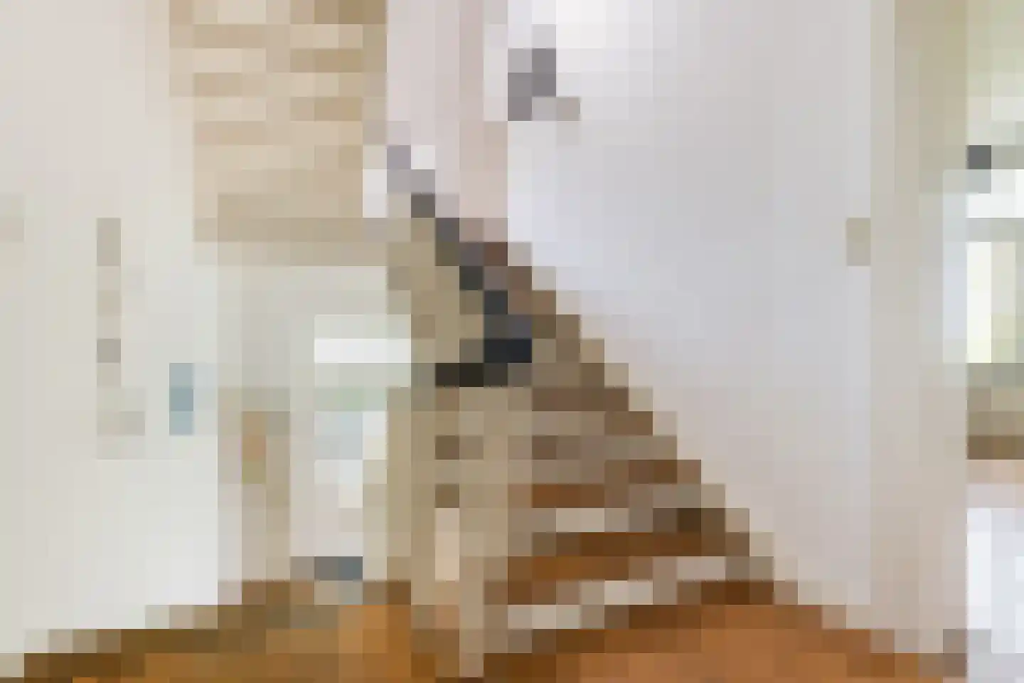 Holtweg 2 Beuningen thumbnail 80