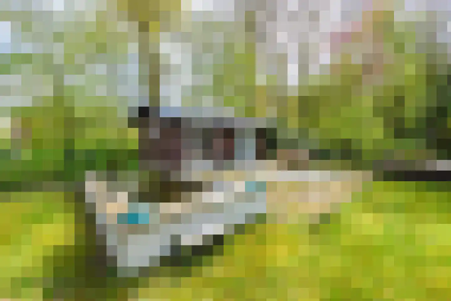 Holtweg 2 Beuningen thumbnail 85