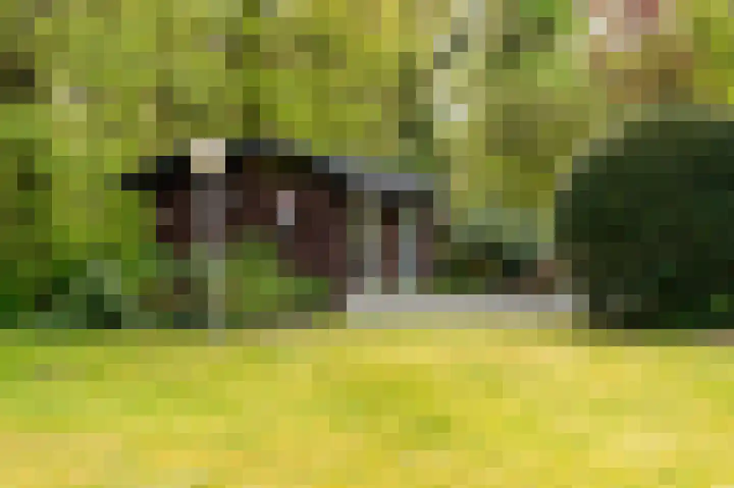 Holtweg 2 Beuningen thumbnail 91