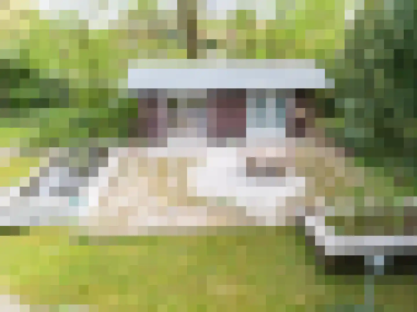 Holtweg 2 Beuningen thumbnail 92