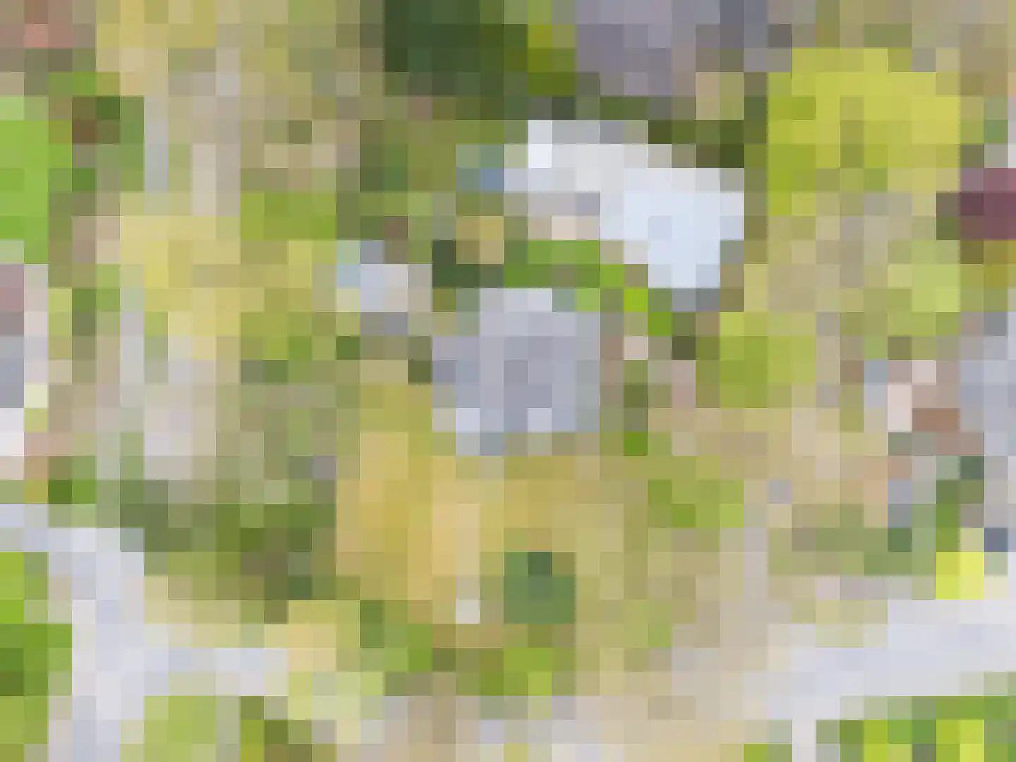 Holtweg 2 Beuningen thumbnail 97