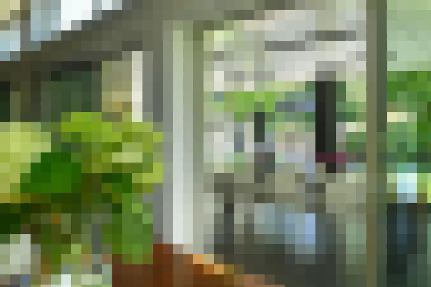 Holtweg 3 Arnhem thumbnail 11