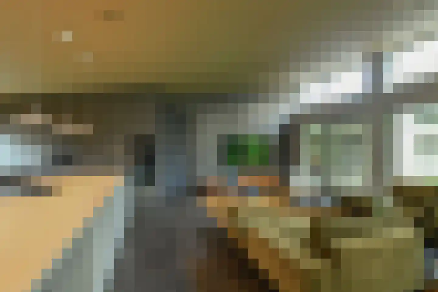 Holtweg 3 Arnhem thumbnail 17