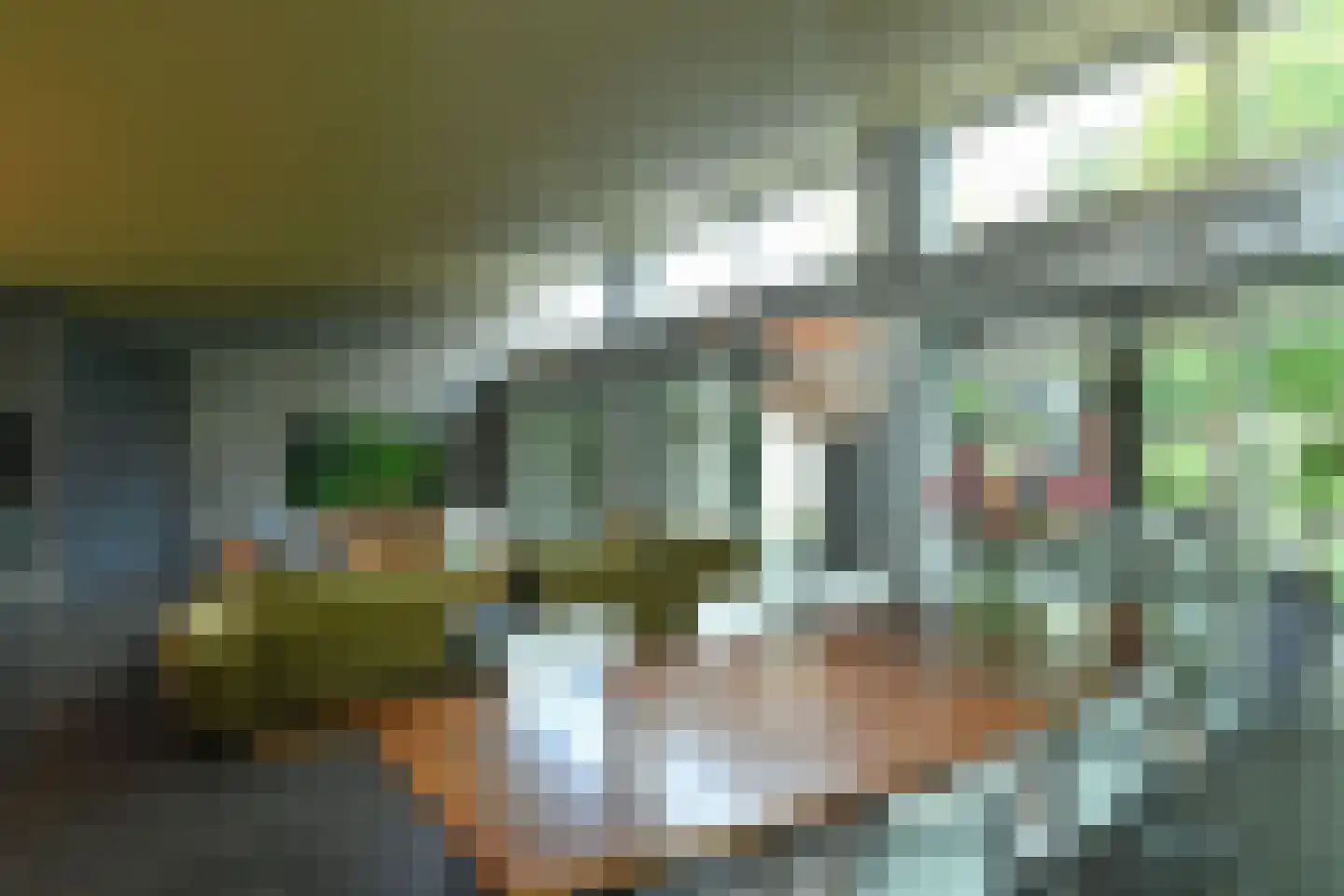 Holtweg 3 Arnhem thumbnail 18