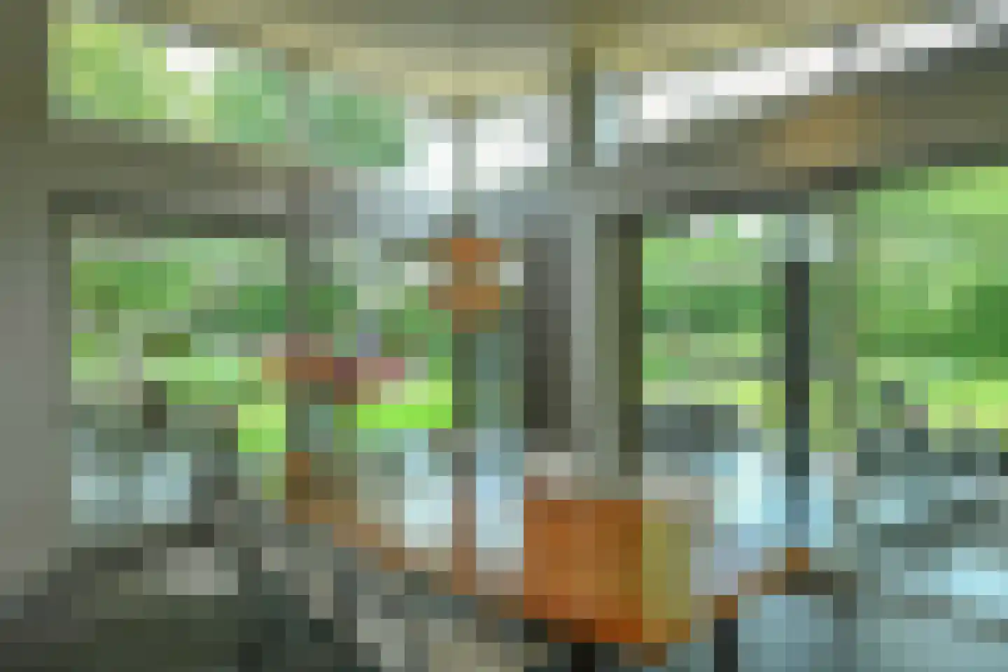 Holtweg 3 Arnhem thumbnail 19