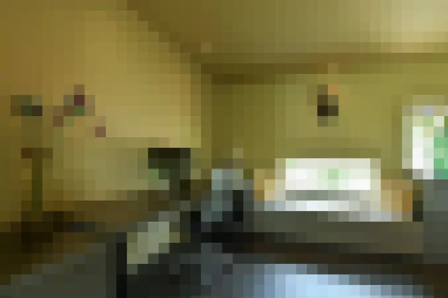 Holtweg 3 Arnhem thumbnail 21