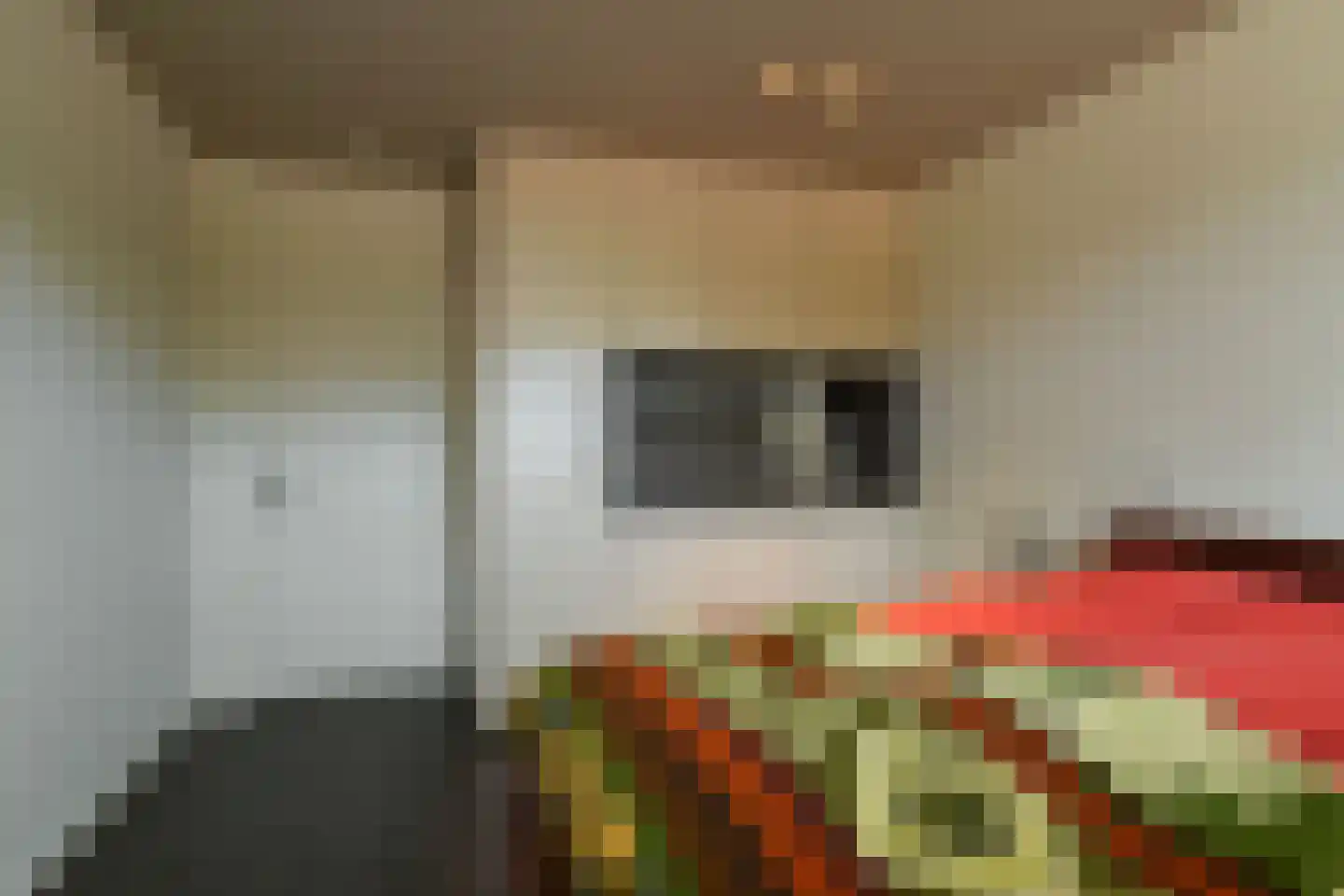 Holtweg 3 Arnhem thumbnail 37