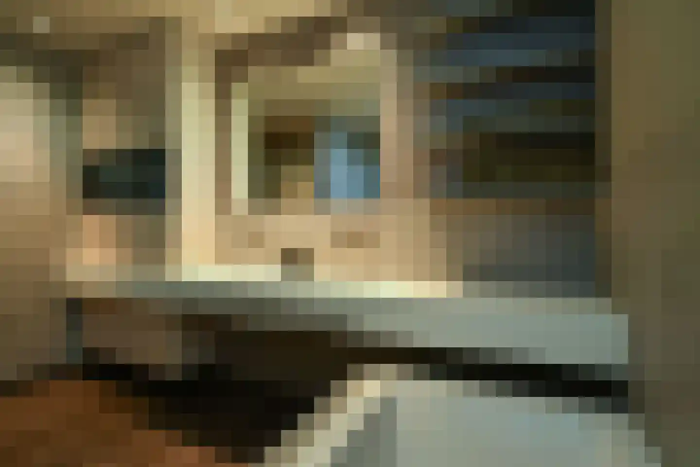 Holtweg 3 Arnhem thumbnail 41