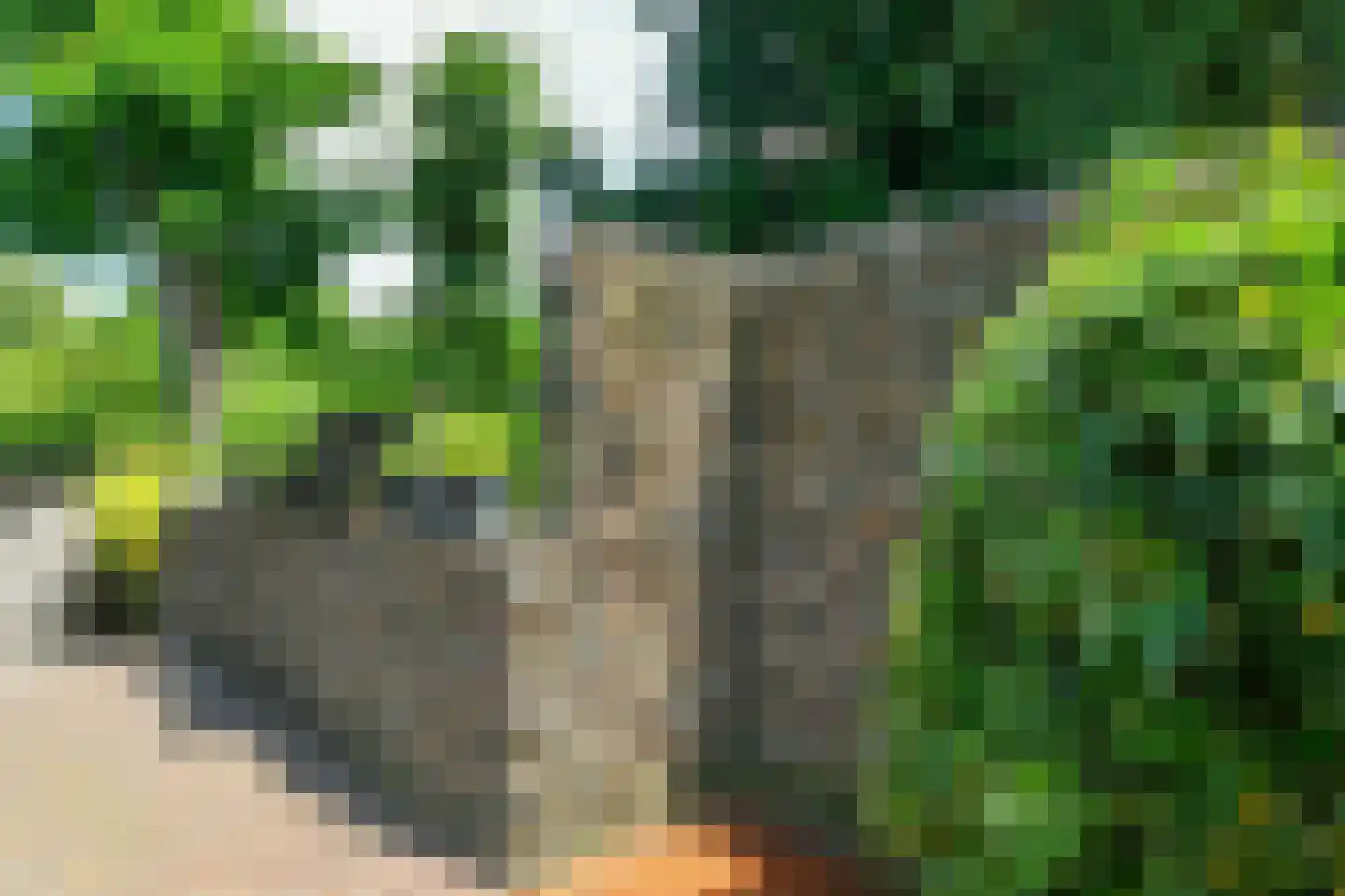 Holtweg 3 Arnhem thumbnail 54