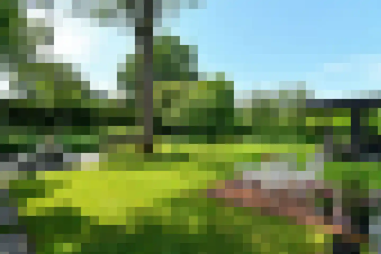 Holtweg 3 Arnhem thumbnail 55