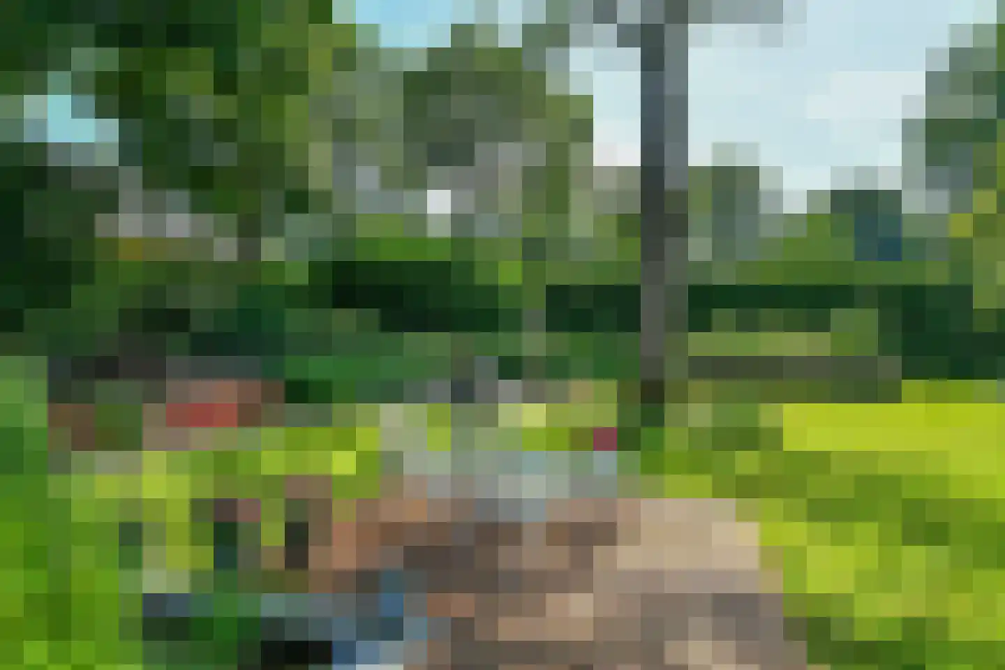 Holtweg 3 Arnhem thumbnail 56