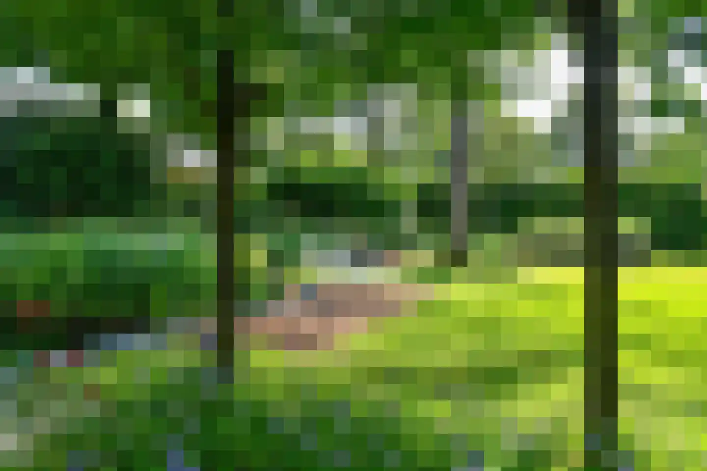 Holtweg 3 Arnhem thumbnail 57