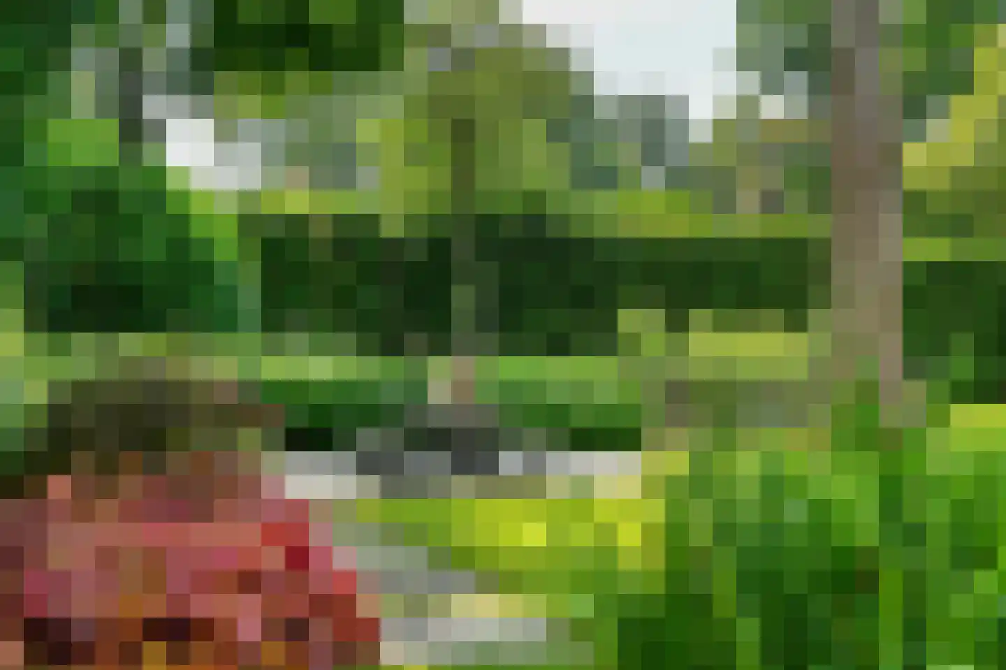 Holtweg 3 Arnhem thumbnail 58