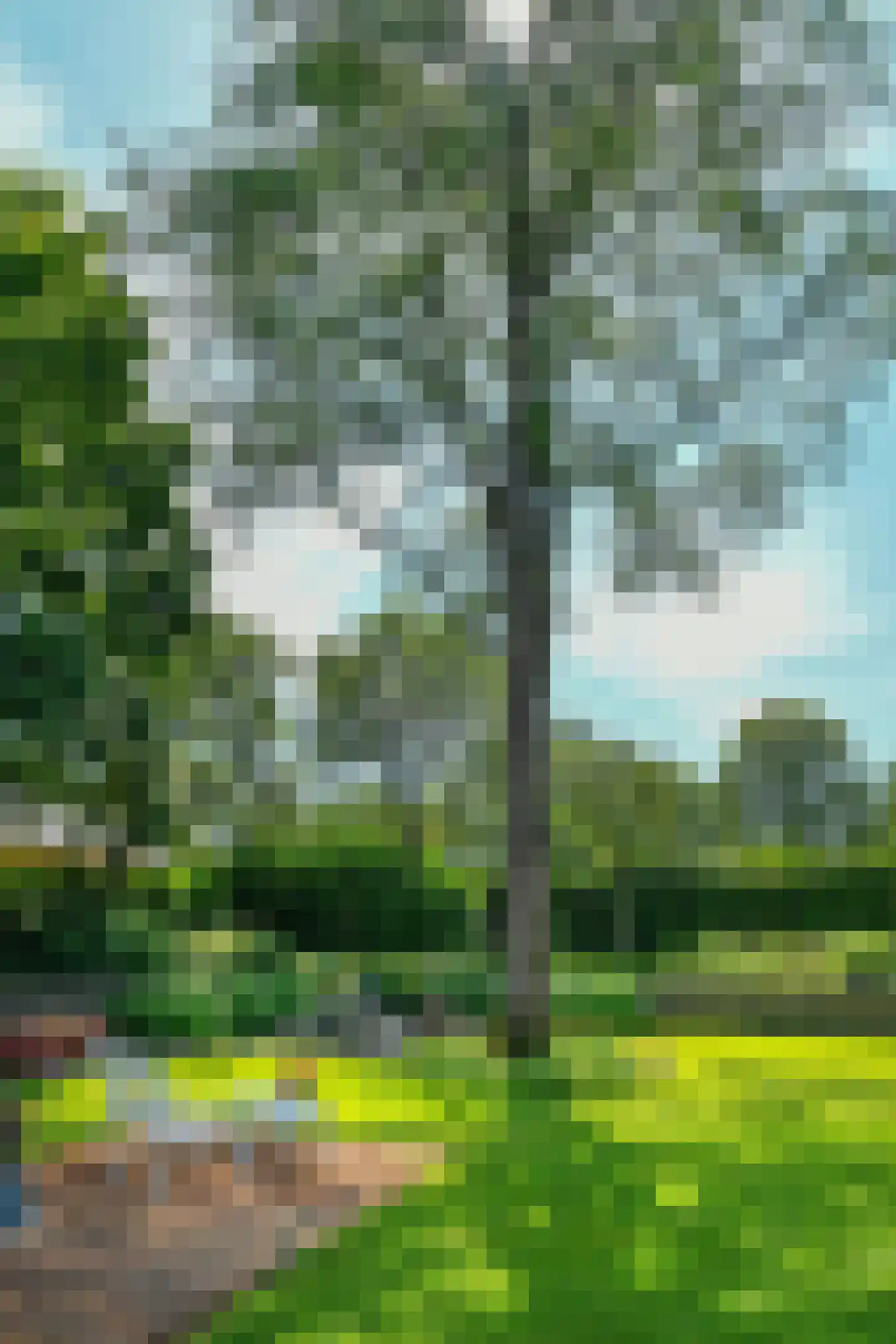 Holtweg 3 Arnhem thumbnail 59
