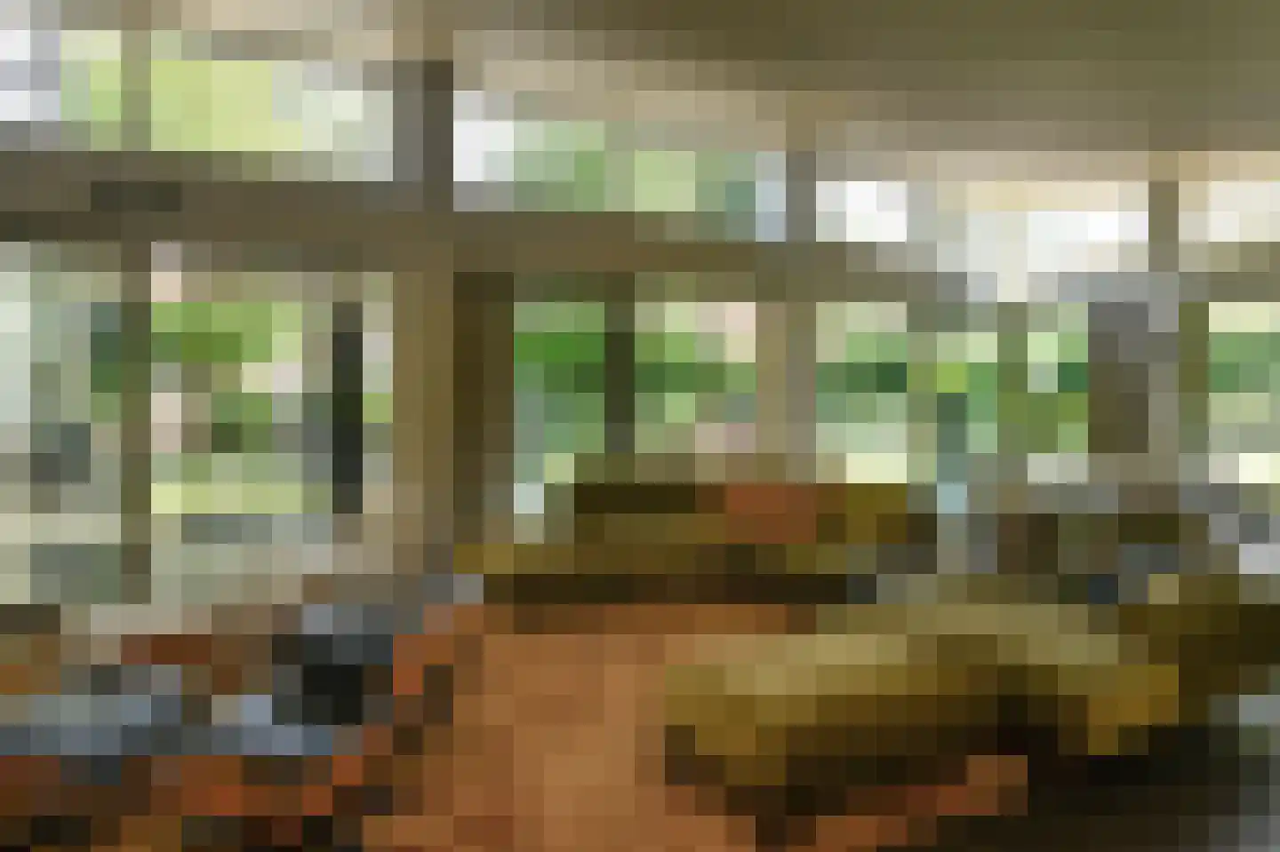Holtweg 3 Arnhem thumbnail 6