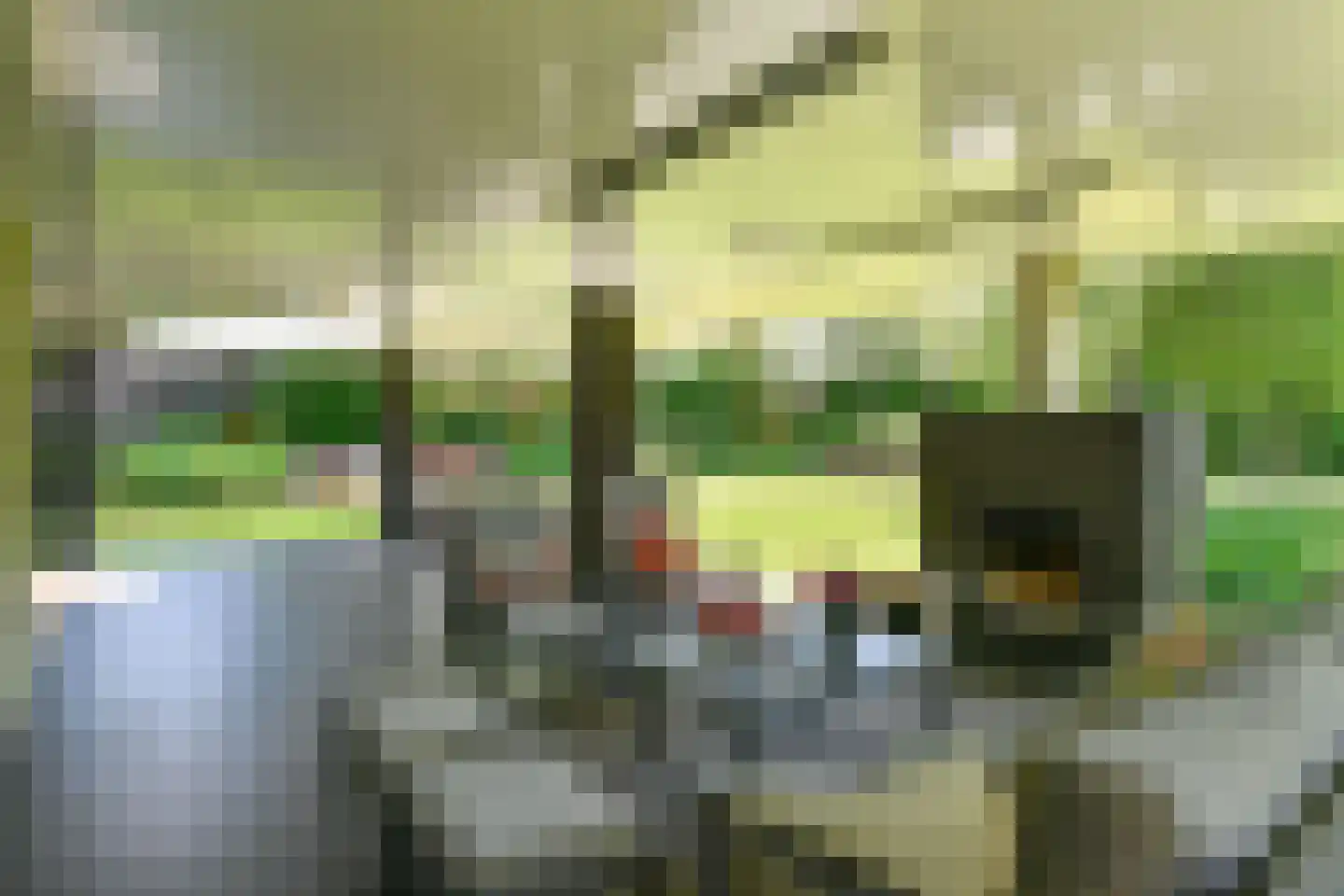 Holtweg 3 Arnhem thumbnail 60