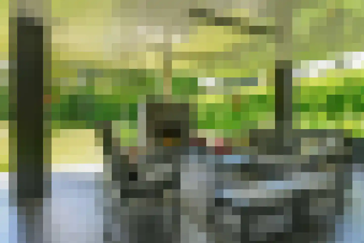 Holtweg 3 Arnhem thumbnail 61