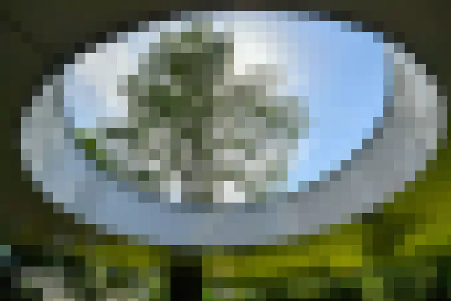 Holtweg 3 Arnhem thumbnail 66