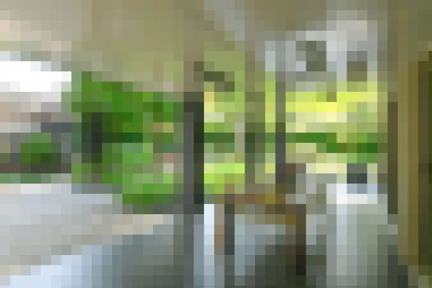 Holtweg 3 Arnhem thumbnail 69
