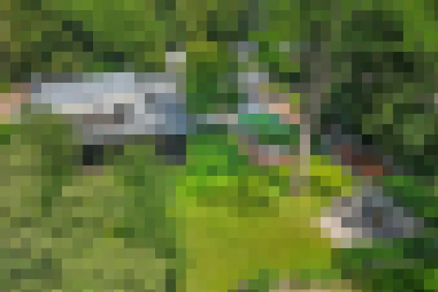 Holtweg 3 Arnhem thumbnail 75