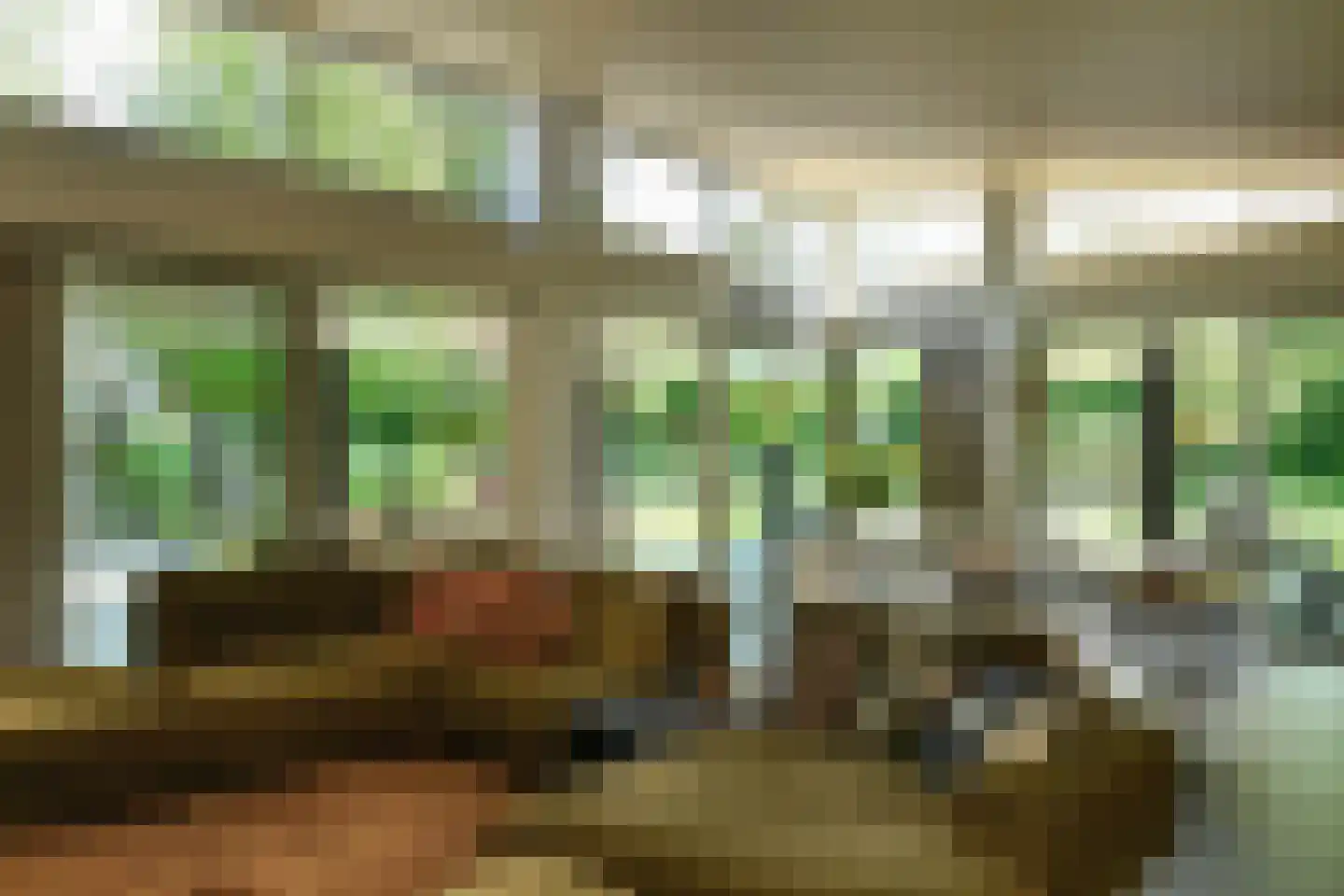 Holtweg 3 Arnhem thumbnail 8