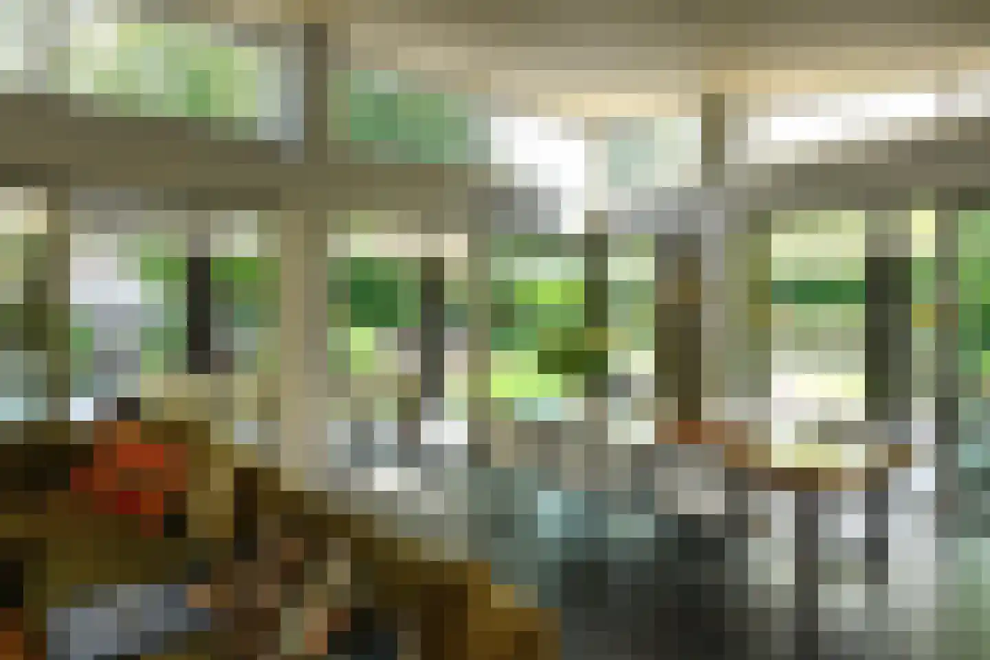 Holtweg 3 Arnhem thumbnail 9