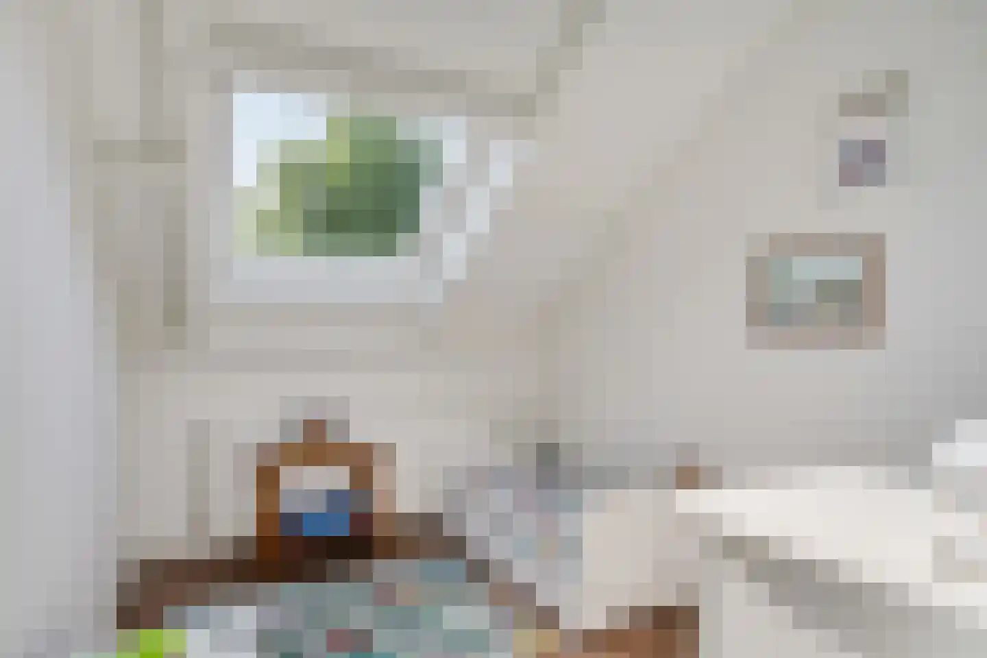 Holtweg 4 Niebert thumbnail 32