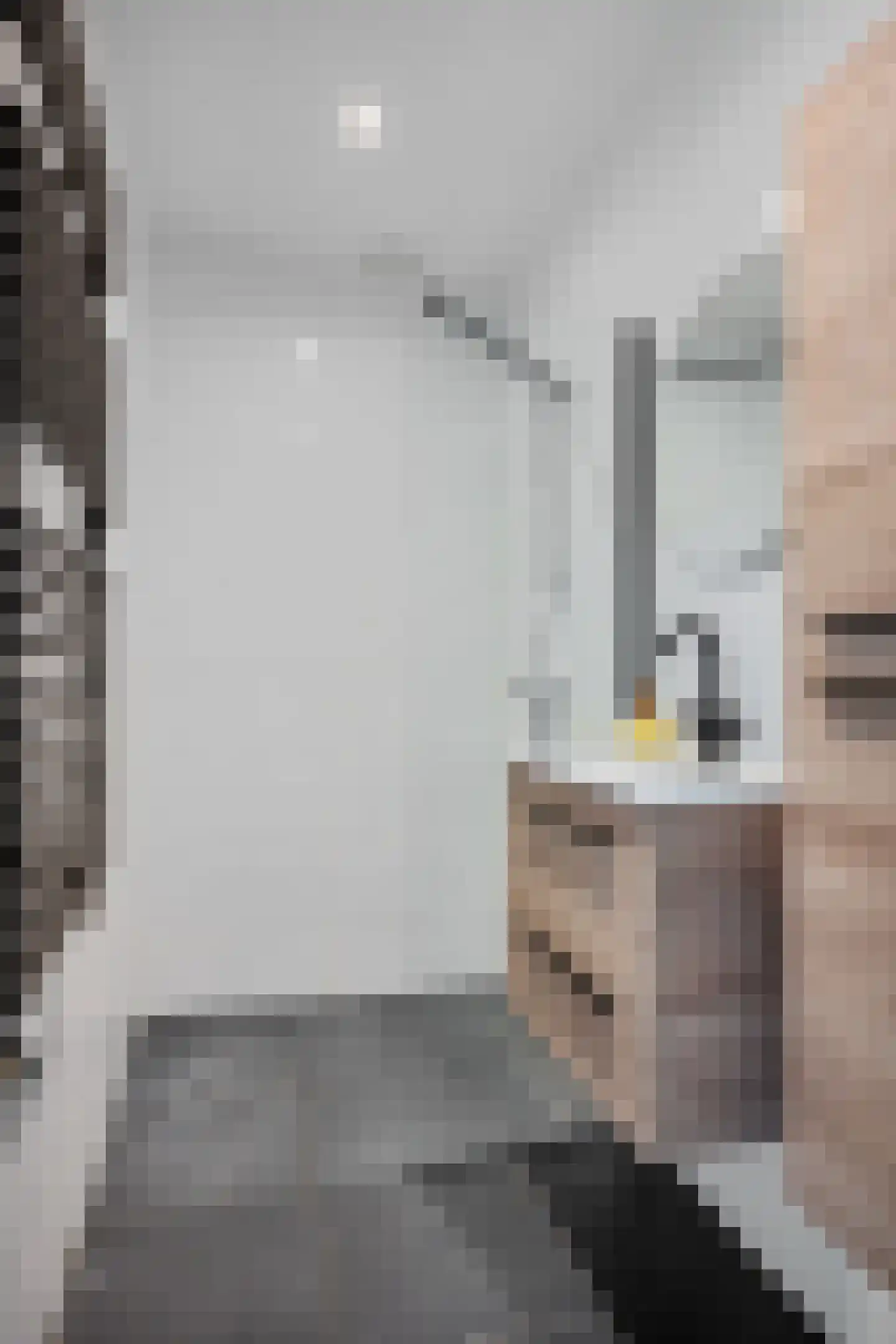 Holtweg 4 Niebert thumbnail 34