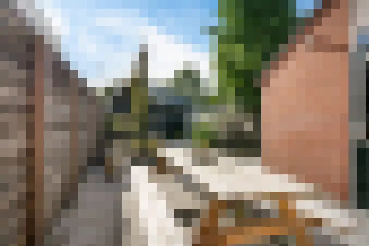 Holtweg 4 Niebert thumbnail 36