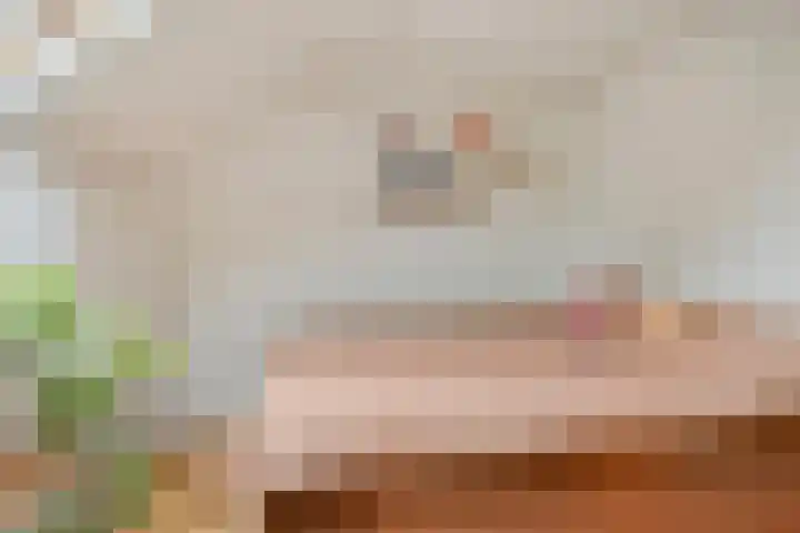 Holtwiklanden 157 Enschede thumbnail 17